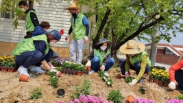 여주시 대신면 양촌리, 꽃길 가꾸기 및 환경정화 활동 실시