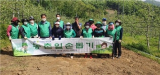 전곡읍 새마을회 ⌜전곡읍 늘목리 사과 과수원 농촌봉사활동실시⌟