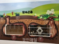 부평구 인천나비공원, 전시관 리모델링 완료 7월 정식 운영