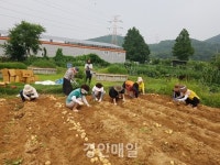 장수서창동 마을 공동체만나소사 경로당에 사랑의 감자 나눔