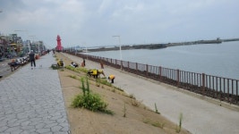정왕3동, 오이도 제방길 제초작업 실시