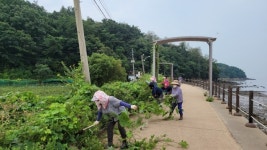 강화군 화도면, 지난 30일 장화리 일몰조망지 환경정화 실시