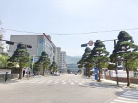 의정부시, 범골로 명품 가로수길 조성