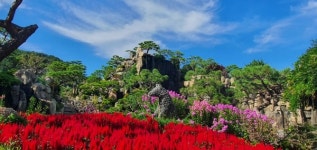 2021 포천 허브아일랜드 사진 공모전