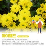 용인시, 관내 화훼농가 한 곳서 마이엘프 시범 재배