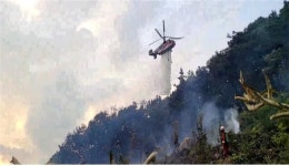 인천 강화군 산불 발생, 0.15ha 태우고 1시간 30여분만에 진화