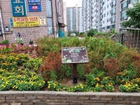 남동구 우리 동네 정원 가꾸기쾌적한 주거 환경에 역할 톡톡