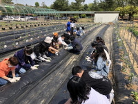안성시, 지역 특성에 맞는 빛깔있는 창의적 교육과정 효과 만점