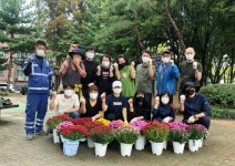 시흥시 군자동 마을기획단, 국화 100여본 식재