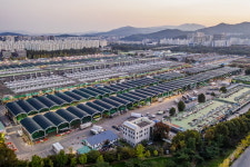 서울시농수산식품공사, 2021년 가락시장 김장철 교통소통 대책 마련