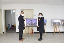 인천서구 회화나무 사계절 담은 사진, 신현원창동 영구보존 한다!