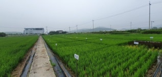 강화군 농업기술센터, 2021년 농촌진흥사업 우수기관상 수상