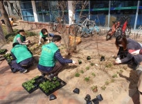 대구 북구 무태조야동 새마을협·부녀회, 봄맞이 꽃심기 실시
