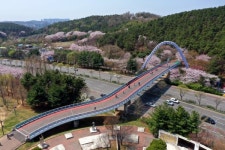 [포토] 안산에 만개한 벚꽃