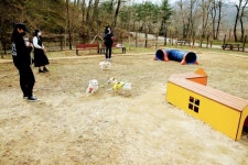 인천 미추홀구, 반려동물 놀이터 재개장