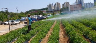 광주시 광남2동 지역사회보장협의체, 관수 작업 추진
