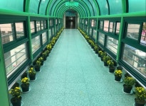 미추홀구, 가을 국화로 물들다