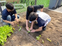 군포중, 친환경 생산지 체험 활동으로 학교 텃밭 가꾸기