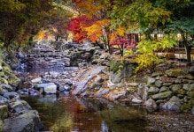 여주시 - 여주세종문화재단 동학의 길 개장식 개최