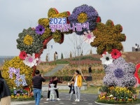 [특집] 평택시 2023 평택꽃나들이 행사 개장 