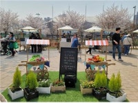 인천 청년파머스마켓,  5월 6일 개장