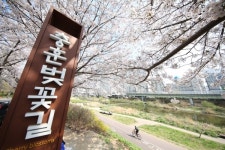 안양시, 석수3동·관양2동 행정동 명칭변경 실태조사 진행