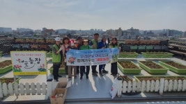 오산 중앙동, 옥상의 작은 텃밭 해뜰농장 사업 재개