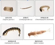 인천시, 도심 속 하천의 생태 회복까지 살펴본다