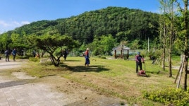 연천군 백학면 구미리 청년회, 환경정화운동 전개