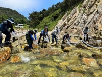 옹진군 수산종자연구소 어린 감성돔 23만미 방류