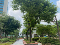 부평구, 부흥중․청천중 학교숲 조성사업 추진