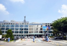 시흥시, 22일 연꽃 축제 연기·취소··· 폭우 피해 희생자 애도