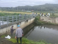 강화군 양사면 노인회, 인화천 하천 쓰레기 수거 나서
