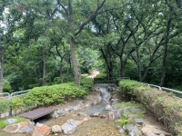 김포시 최초, 모담공원 제1호 모범 도시숲 선정