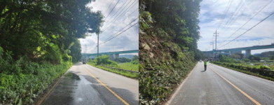 용인특례시, 동부동 일원 산사태 수목 제거사업 완료