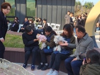 반려동물 문화공간, 경기도 반려마루 개관