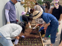 평택시, 2023년 도시민 생활원예 상․하반기 2개 과정 성료