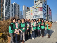 평택시 동삭동 새마을부녀회, 꽃양배추 심기 행사 전개