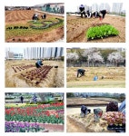 시흥시 도시농업공원, 시민행복텃밭 개장