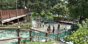 연수구, 무더위 피할 원도심 물놀이장 4곳 무료 개장