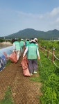 교동면 새마을부녀회, 해안가 나들길 환경정화 활동 전개