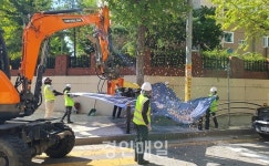 연수구, 거리환경 개선 은행나무 열매 조기 채취