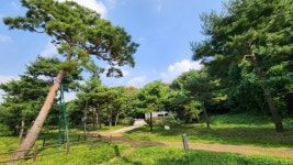 [기획] 띵동! 수원에 가을이 찾아왔습니다!
