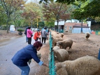 남동구 장수서창동, 임광그대가아파트 경로당 숲 체험 행사 참여