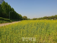 생명의 승기천, 연수구의 새로운 희망이 되다
