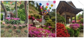 안산시, 수암산 기슭 사계절 다른 매력을 선사하는 연암사 사계