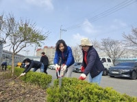 수원특례시의회 김은경 의원, 세류2동 손바닥 정원 정비 활동 참여
