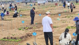광명시, 텃밭 참여 가족 대상 모종 나눔 행사 진행