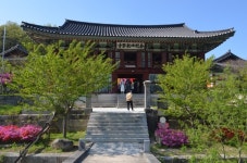전국 4대 사찰중 한 곳인 금강산 건봉사 사찰 탐방