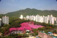 군포산업진흥원, 군포철쭉축제 웨어러블 로봇 체험관 운영